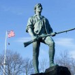 Cambridge, Lexington & Concord:  Freedom Trail Day Trips